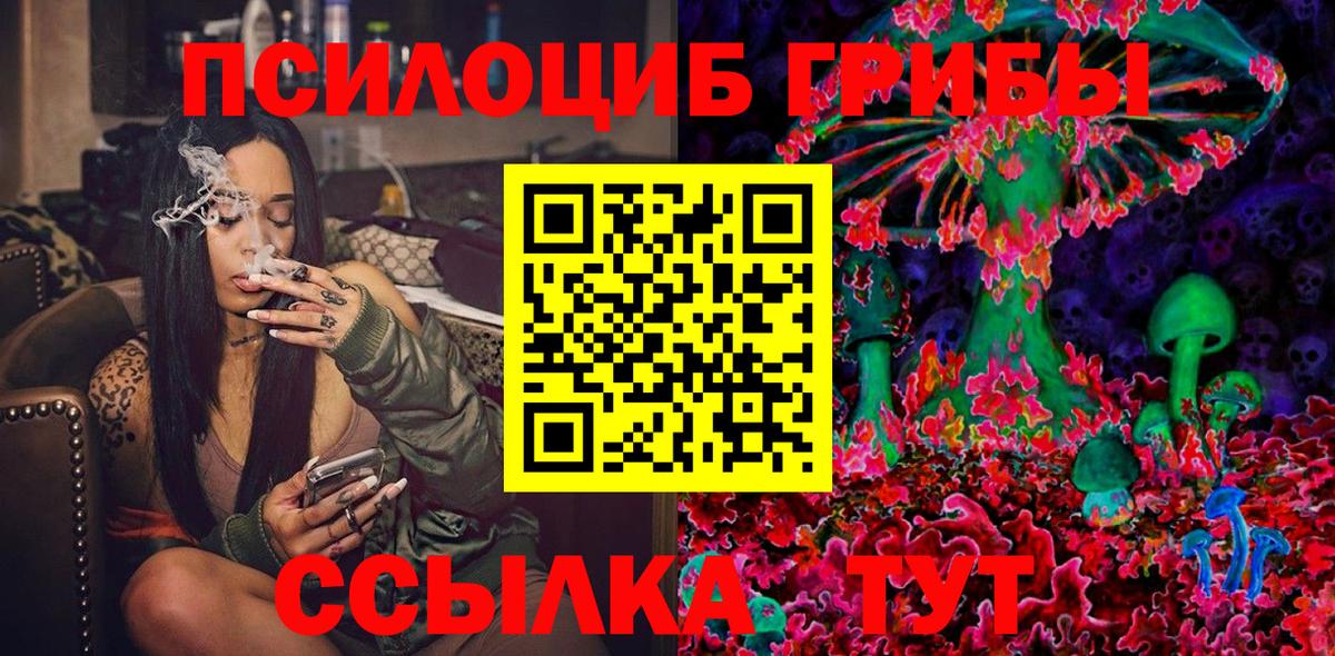 Галлюциногенные грибы Psilocybe Новодвинск