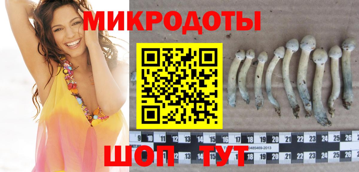Псилоцибиновые грибы Psilocybine cubensis  Вход с VPN  Новодвинск 